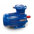 Взрывозащищенные электродвигатели