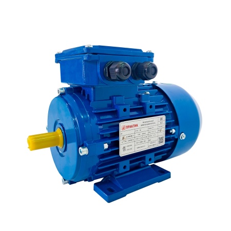 Электродвигатель АИР 50МВ2